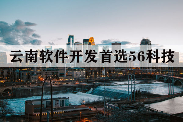 云南专业的软件定制多少钱